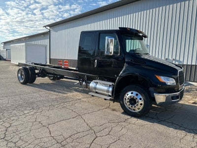 2025 International MV STANDARD